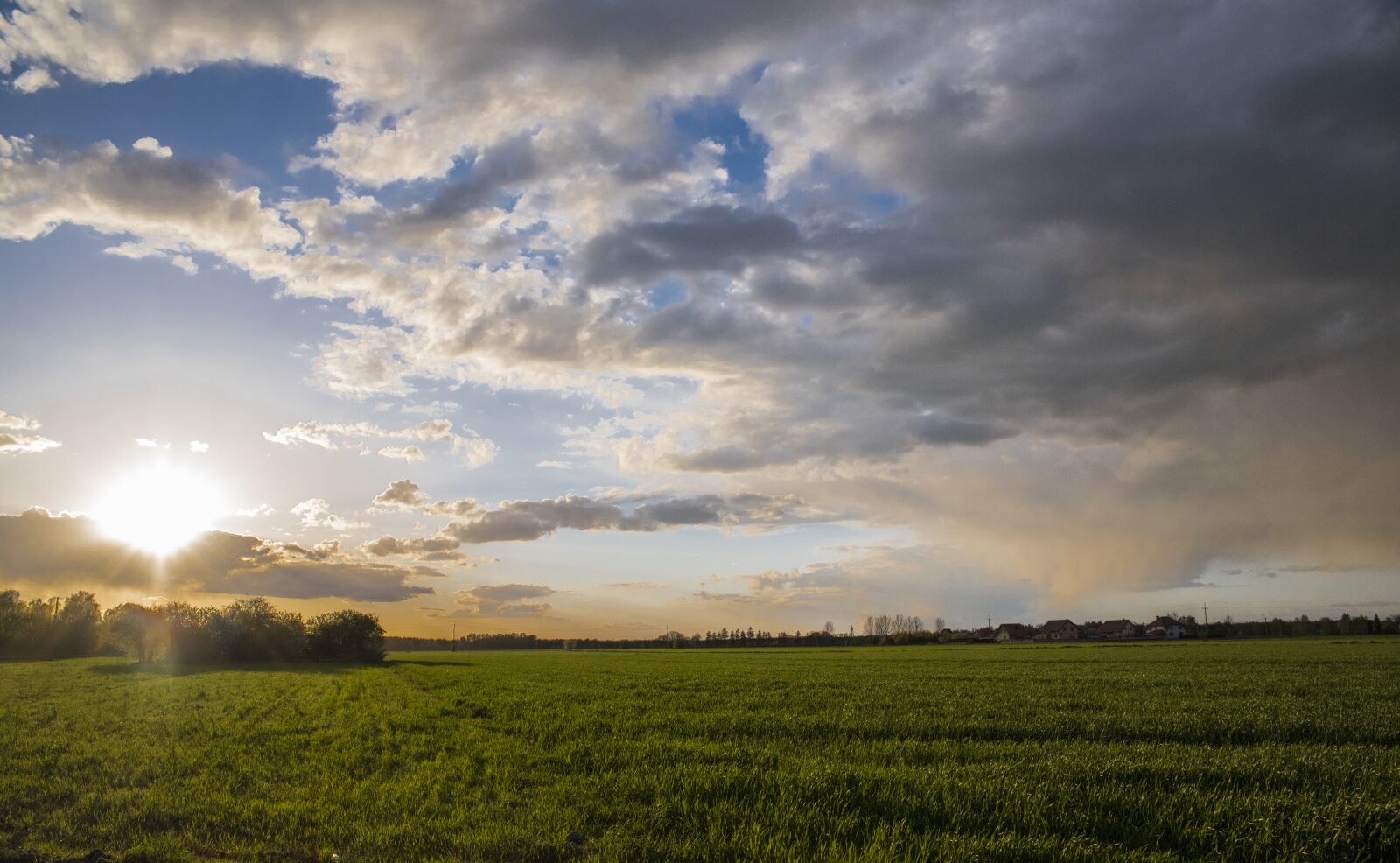 Nikon D750 sample photo. Sierpc, poland, meadow photography