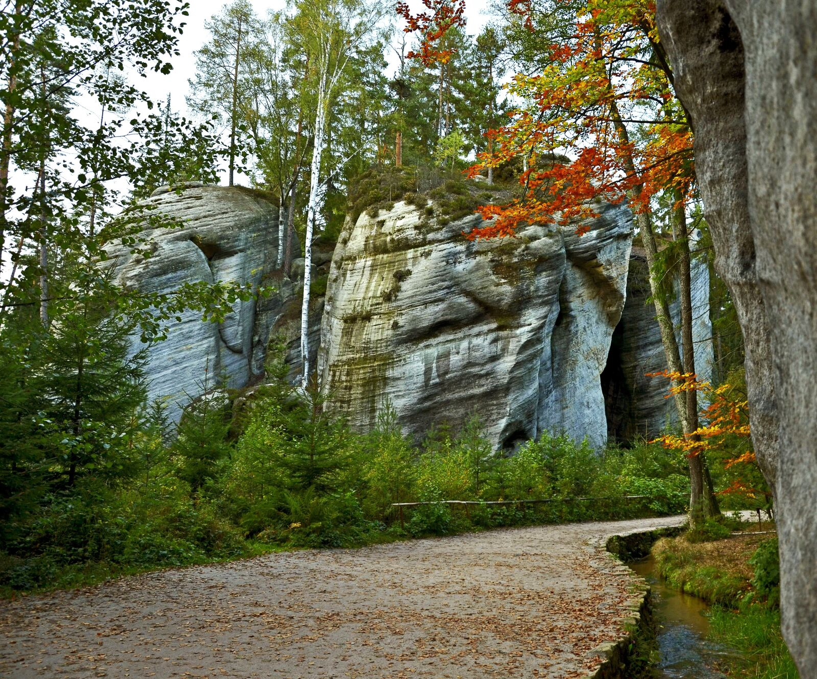 Nikon D5100 sample photo. Czech republic, andrspach, rock photography