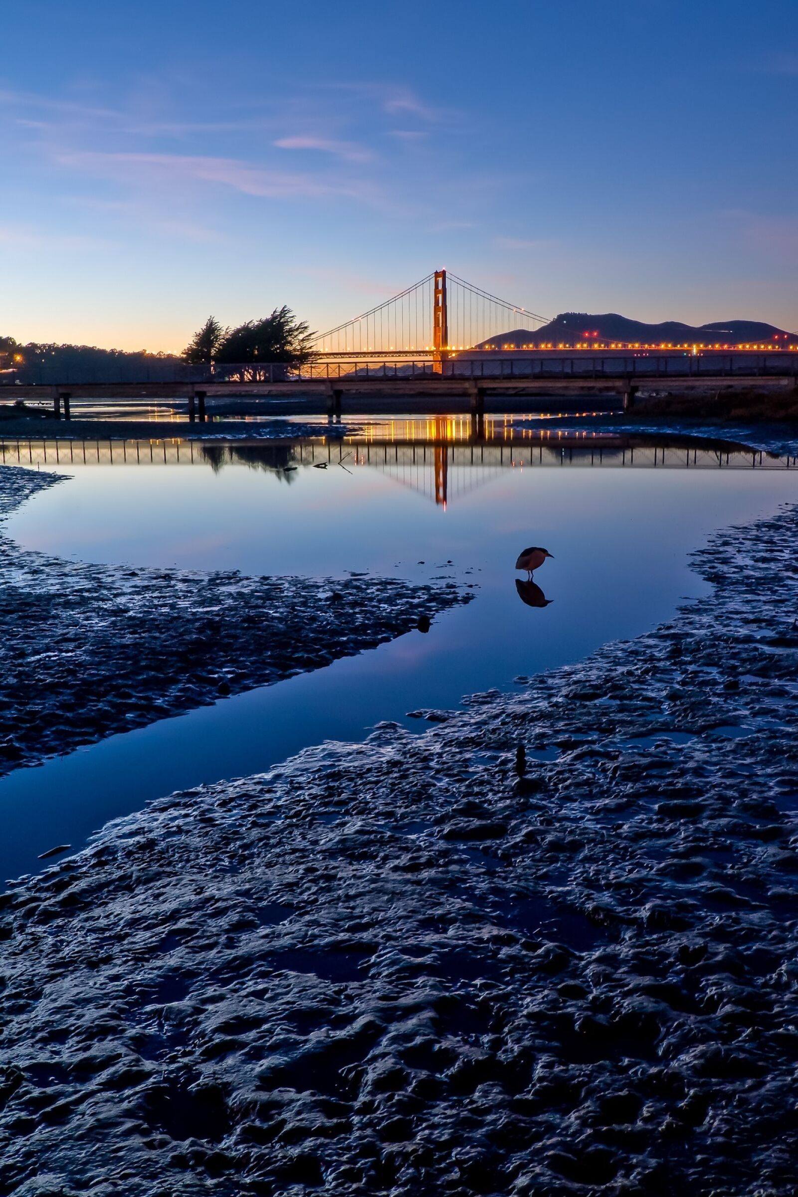Nikon D300 sample photo. Golden gate bridge, crissy photography