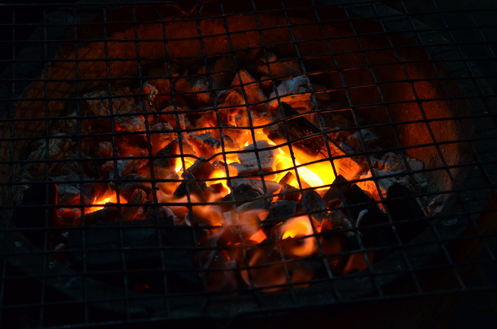 Nikon D5100 sample photo. Fireplace, grill, oven photography