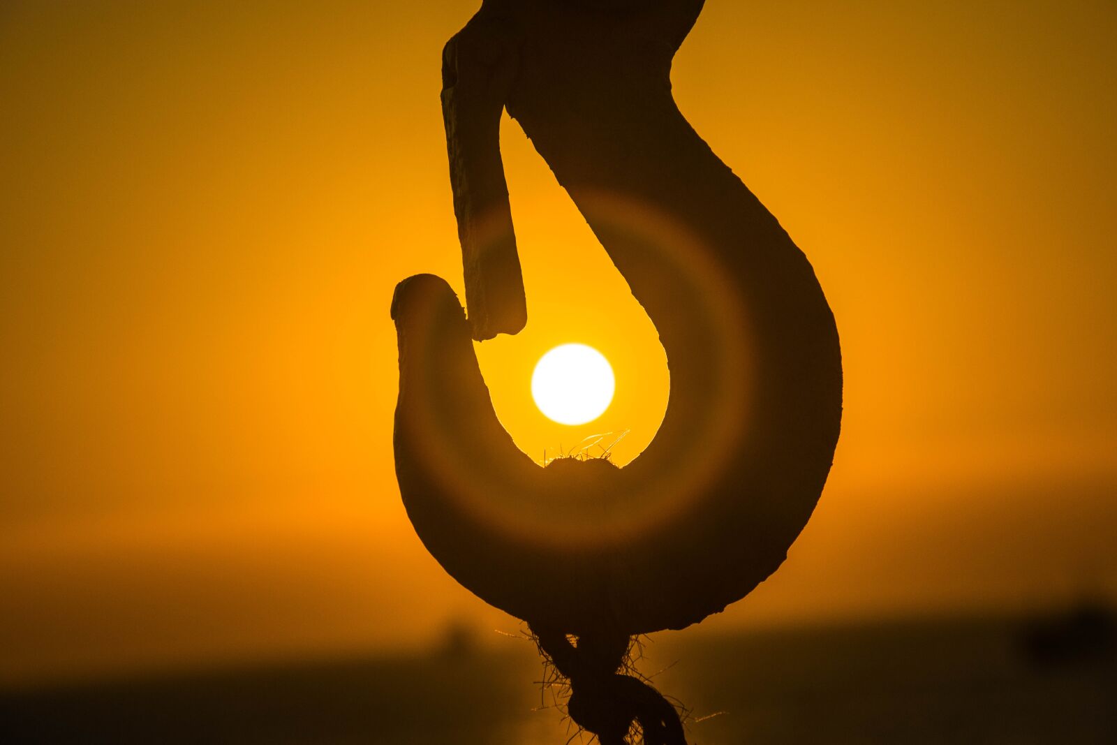 Nikon D5300 sample photo. Sun, sunset, perspectives photography