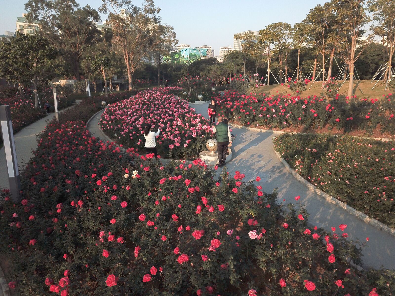 DJI FC220 sample photo
