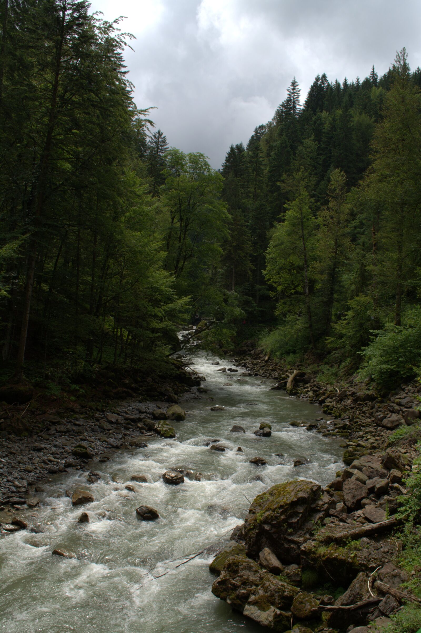 Nikon D5200 sample photo. Broad brook clammy, allg photography