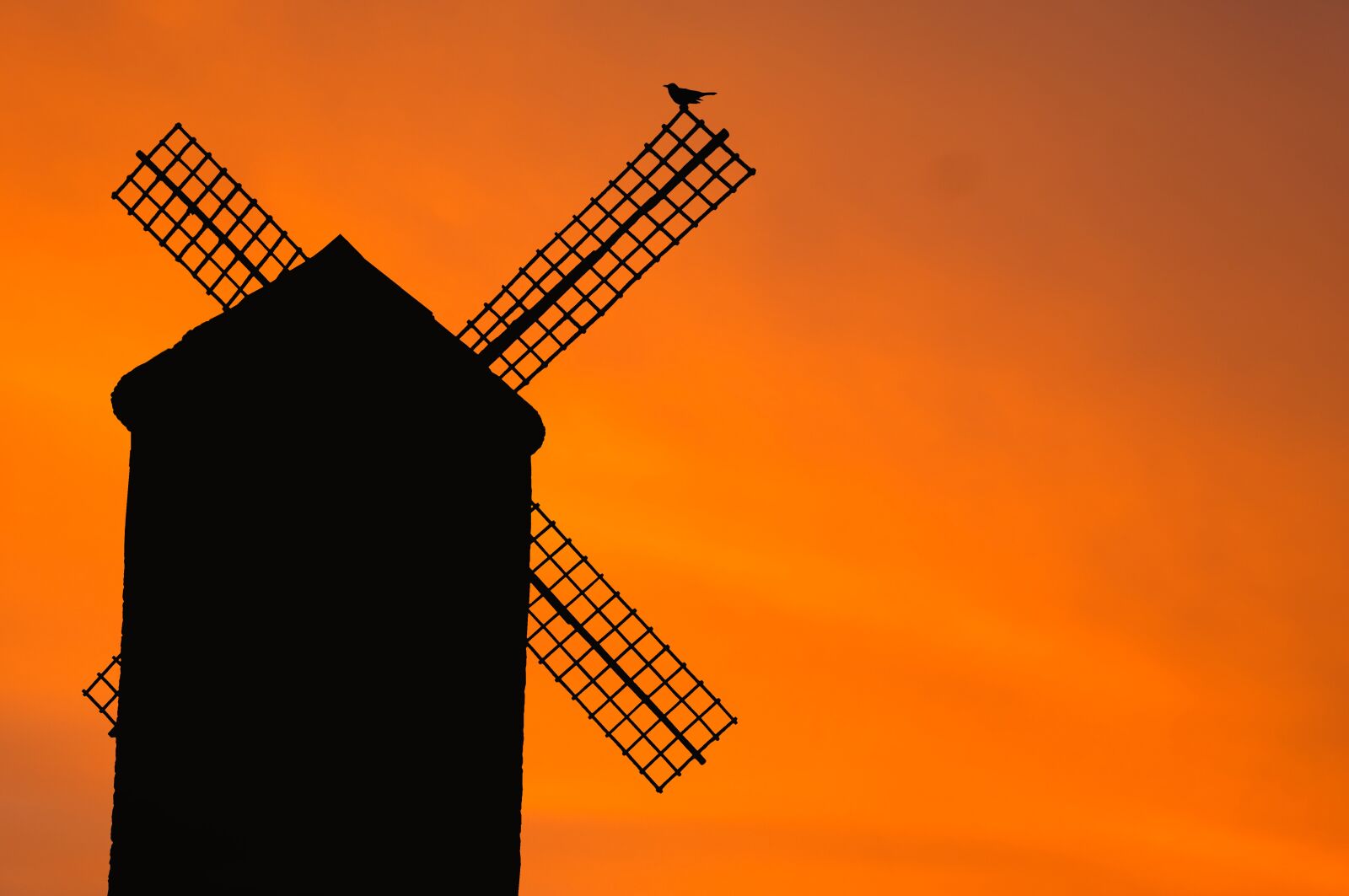 Samsung NX300 sample photo. Windmill, old, bird photography