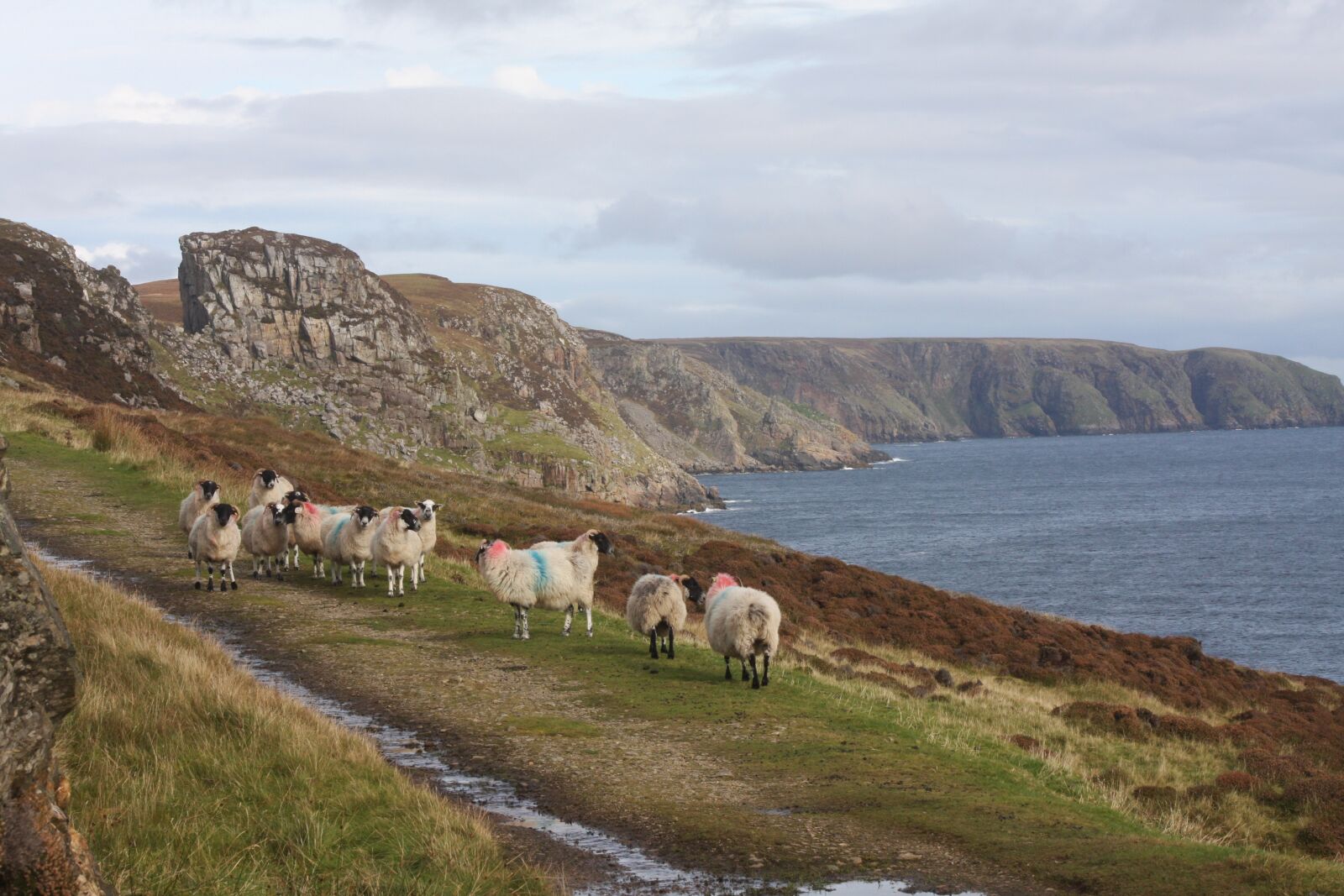 Canon EOS 40D sample photo. Landscape, isle of lewis photography