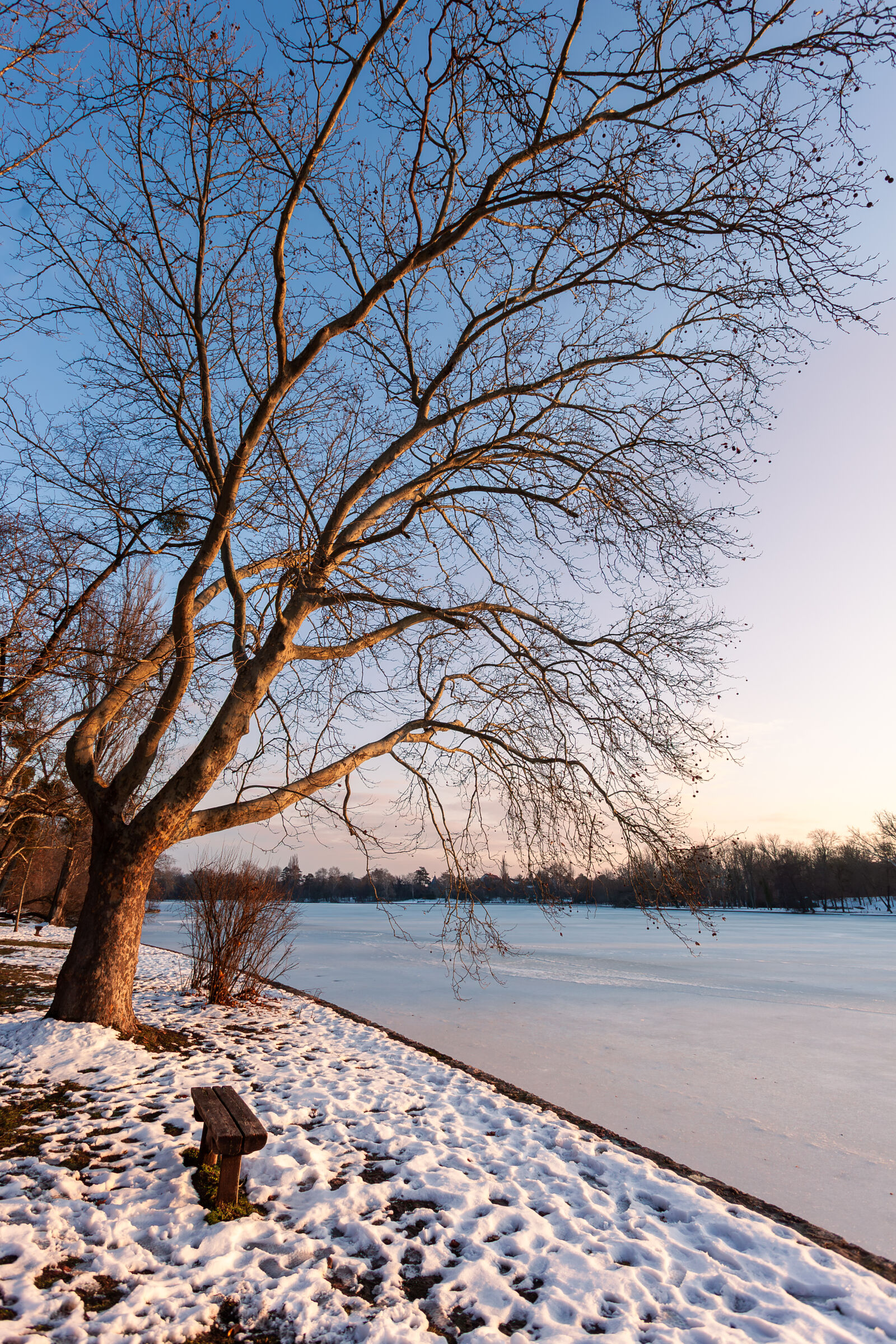 Canon EOS 5D Mark II sample photo