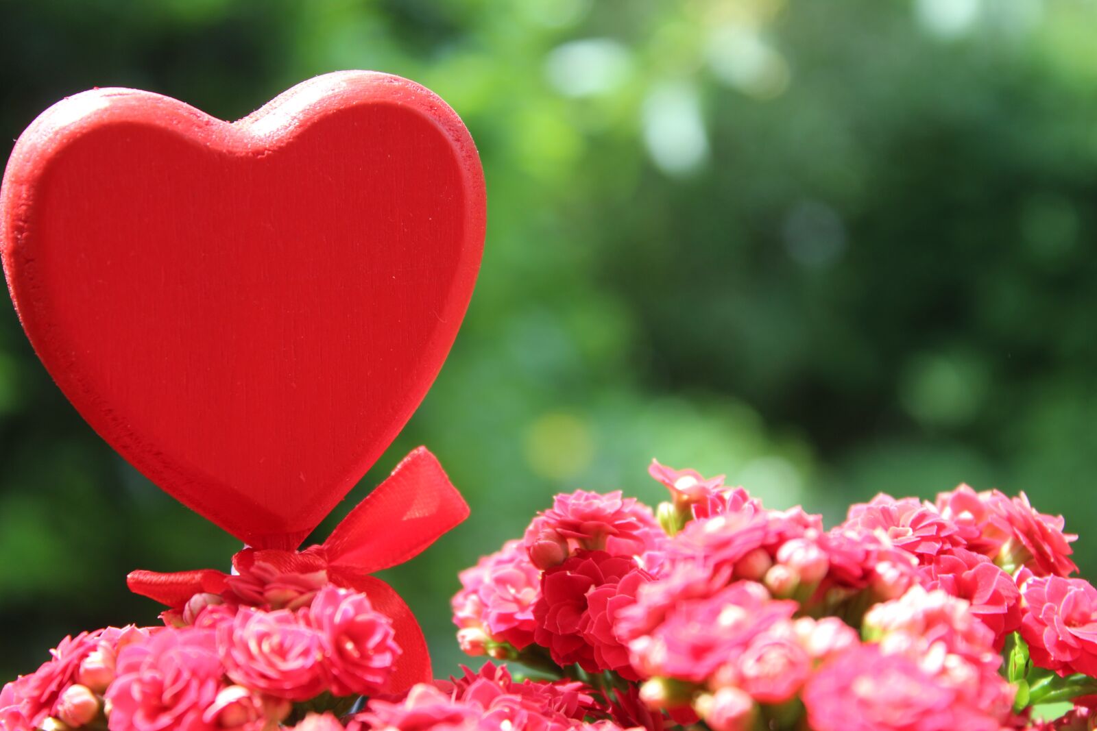Canon EOS 1300D (EOS Rebel T6 / EOS Kiss X80) sample photo. Flower, heart, love photography