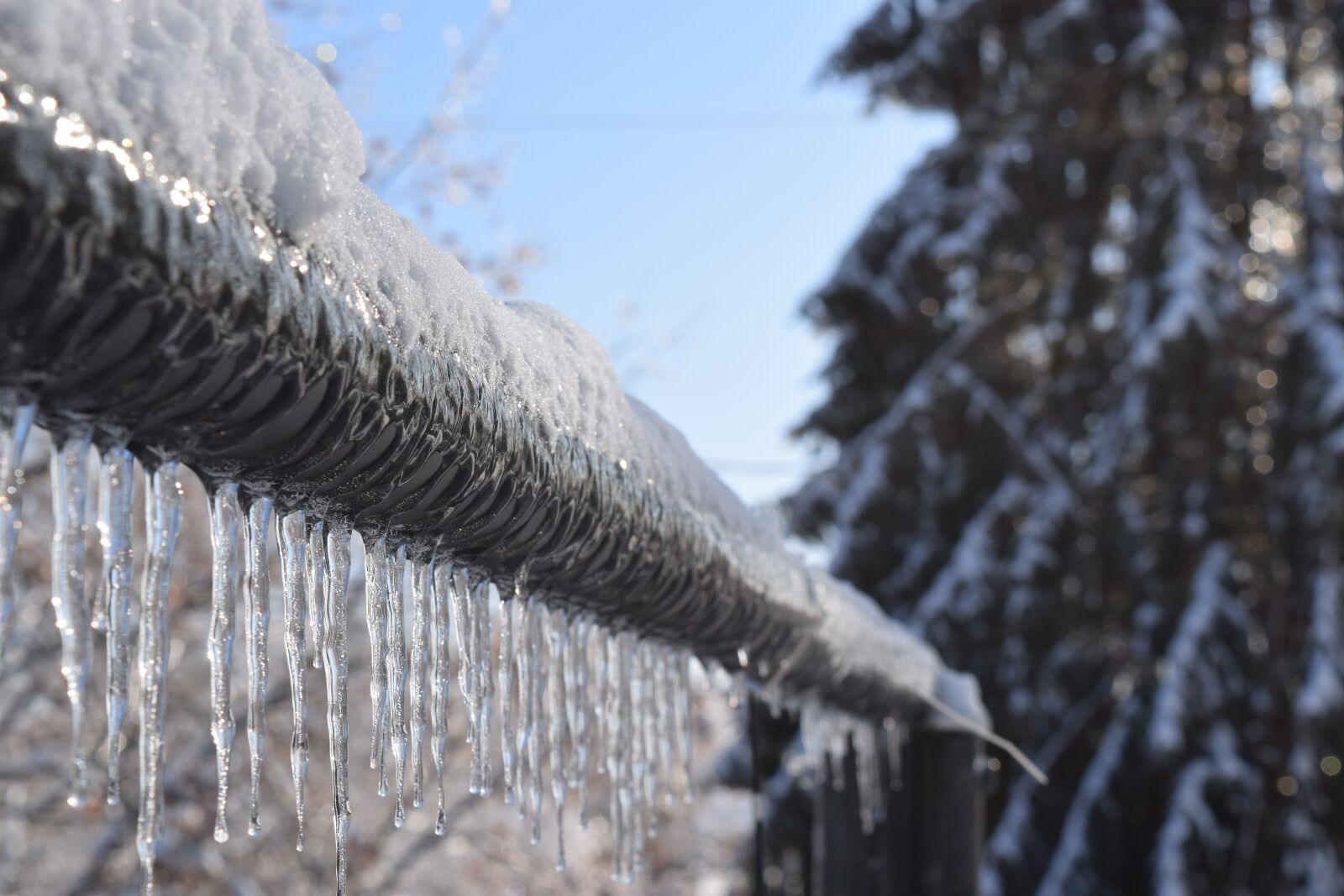 Nikon D3300 sample photo. Ice, winter, cold photography