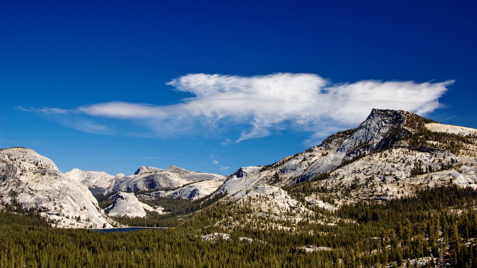 Nikon D50 sample photo. Yosemite, national park, california photography