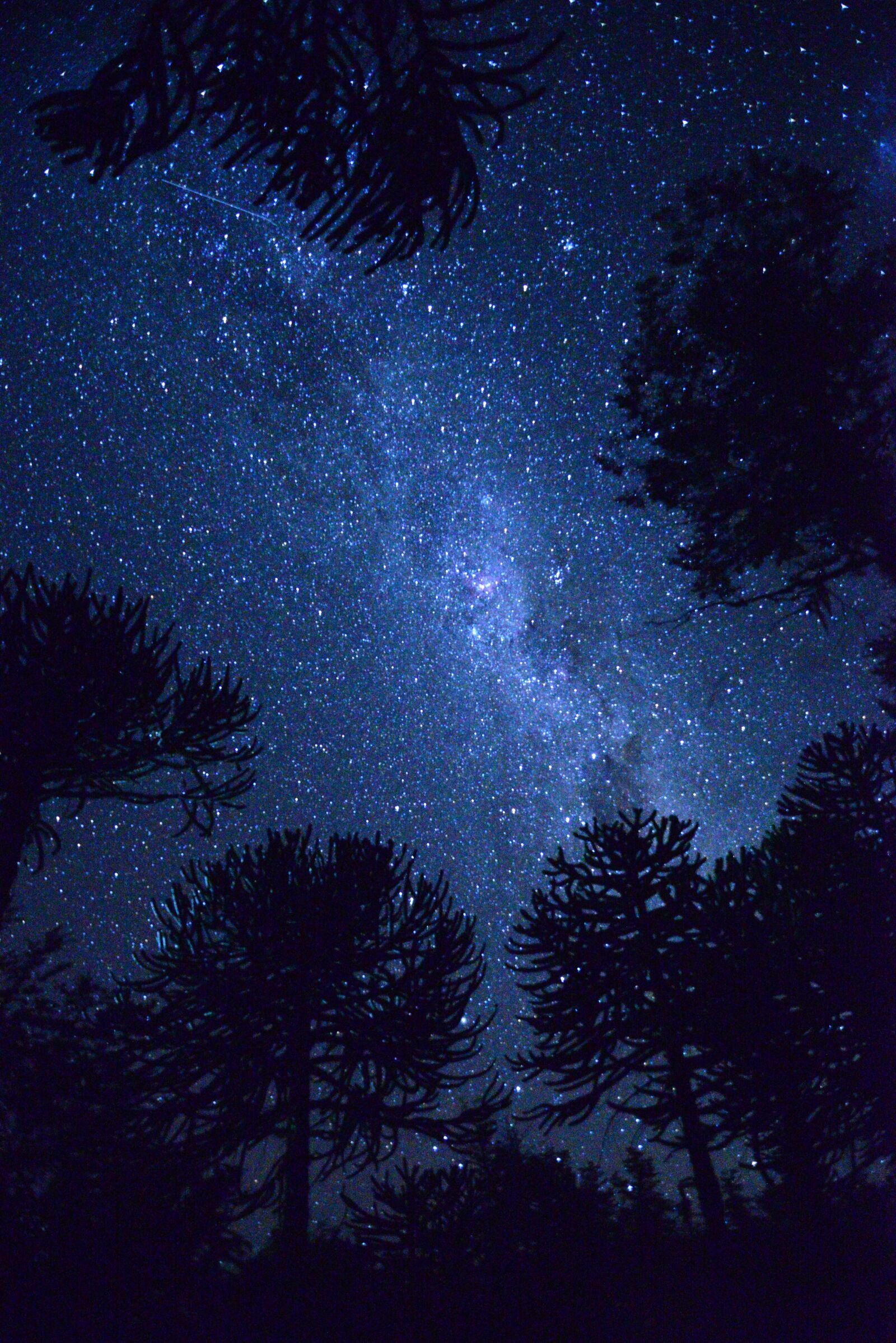 Nikon D610 sample photo. Night, blue, star photography