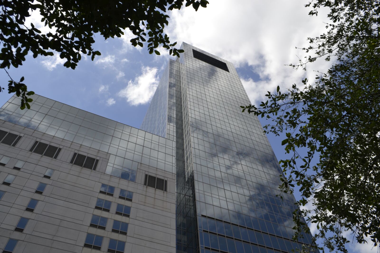 Nikon D3100 sample photo. Medical center, houston, texas photography