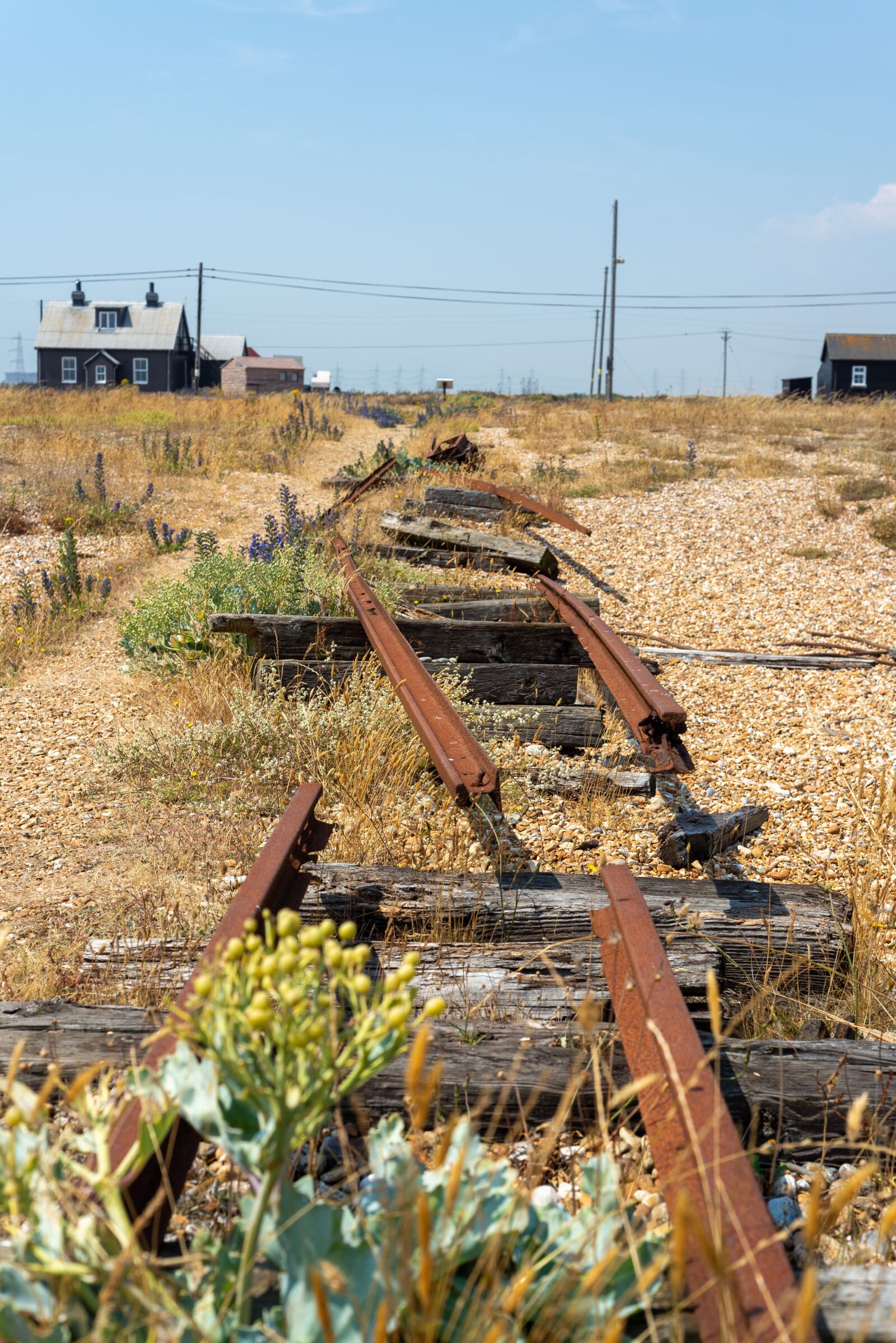 Nikon D600 sample photo. Dungeness, abandoned, wreck photography