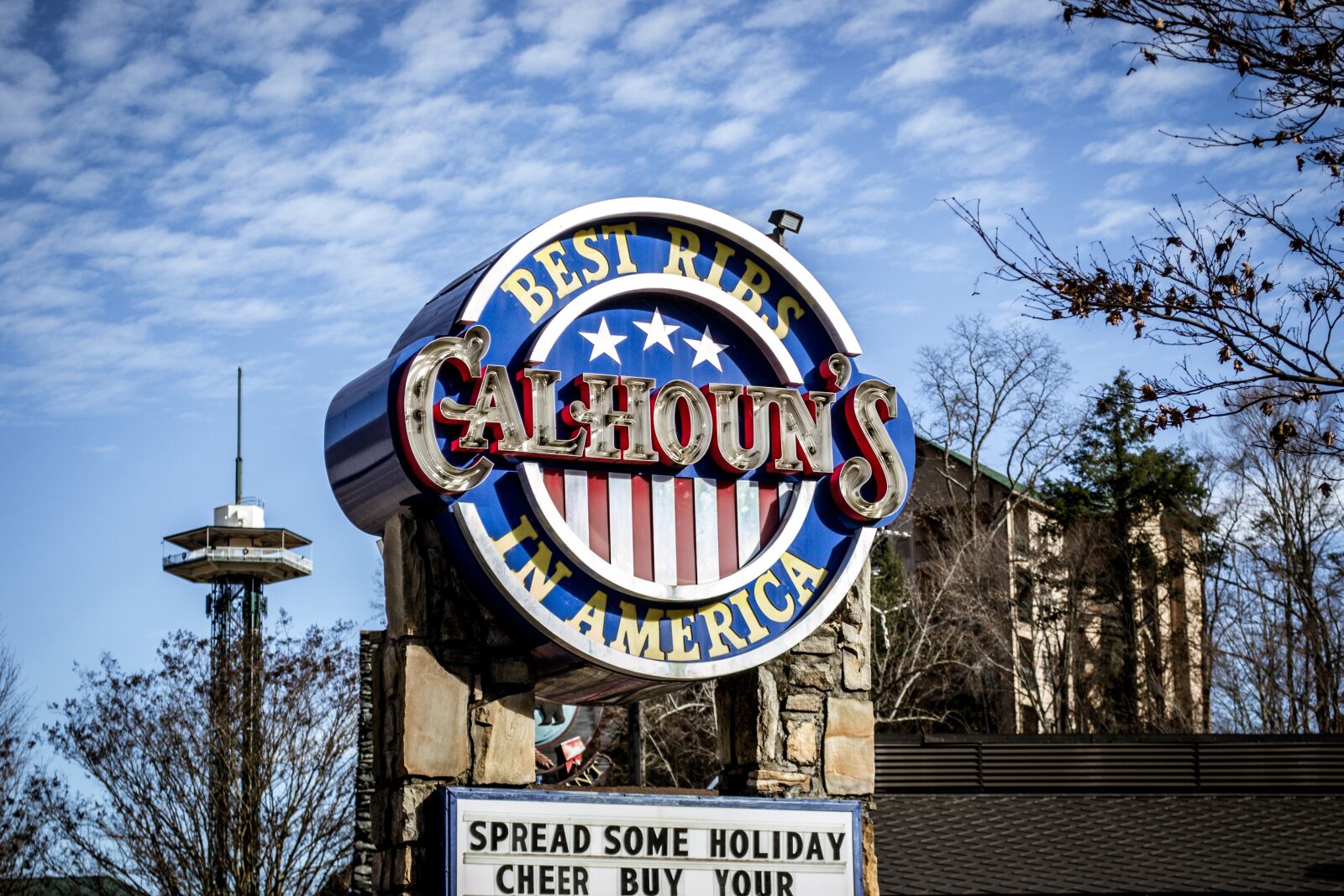 Nikon D3100 sample photo. Sign, gatlinburg, tennessee photography