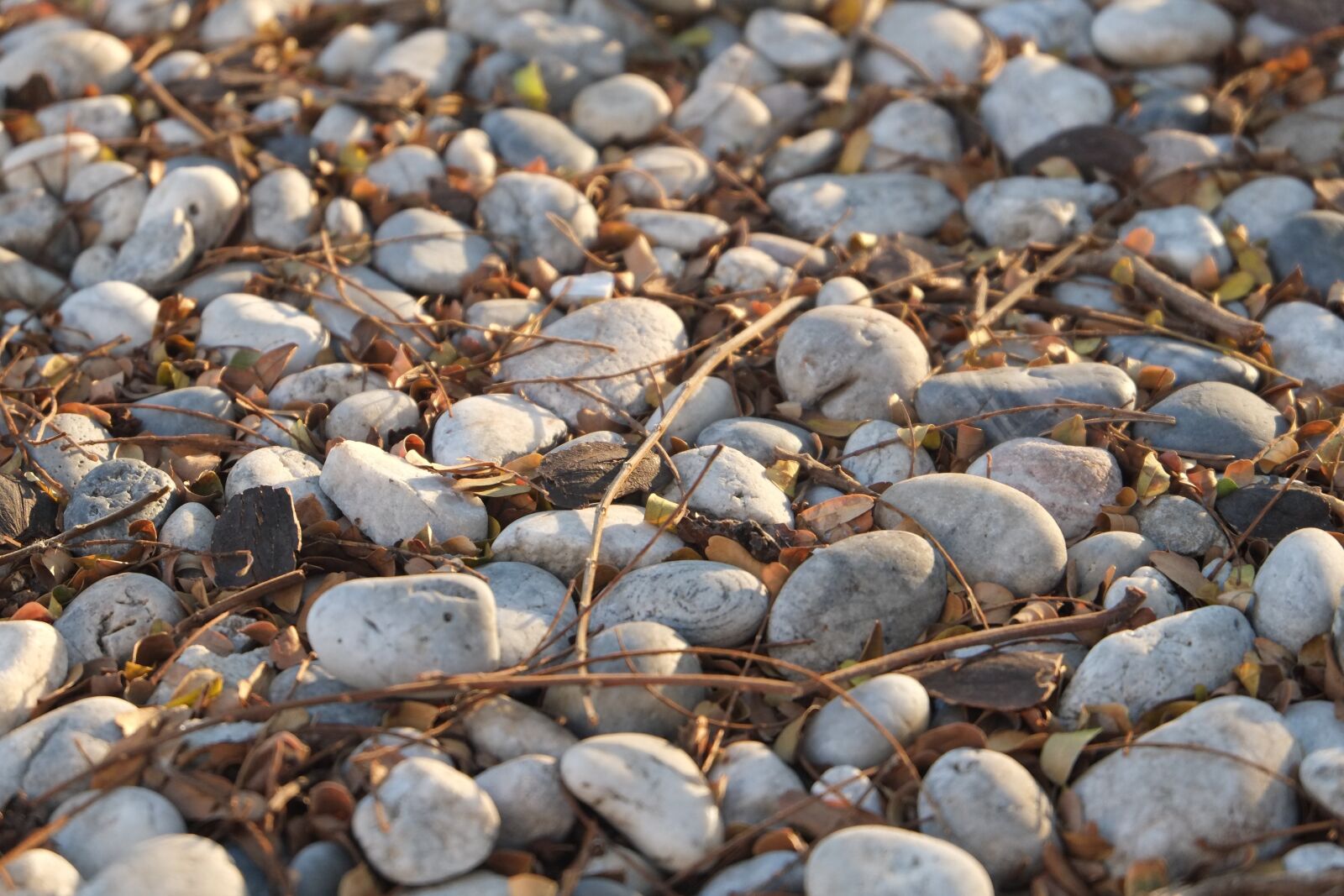 Fujifilm XC 16-50mm F3.5-5.6 OIS sample photo. Rock, floor, earth photography