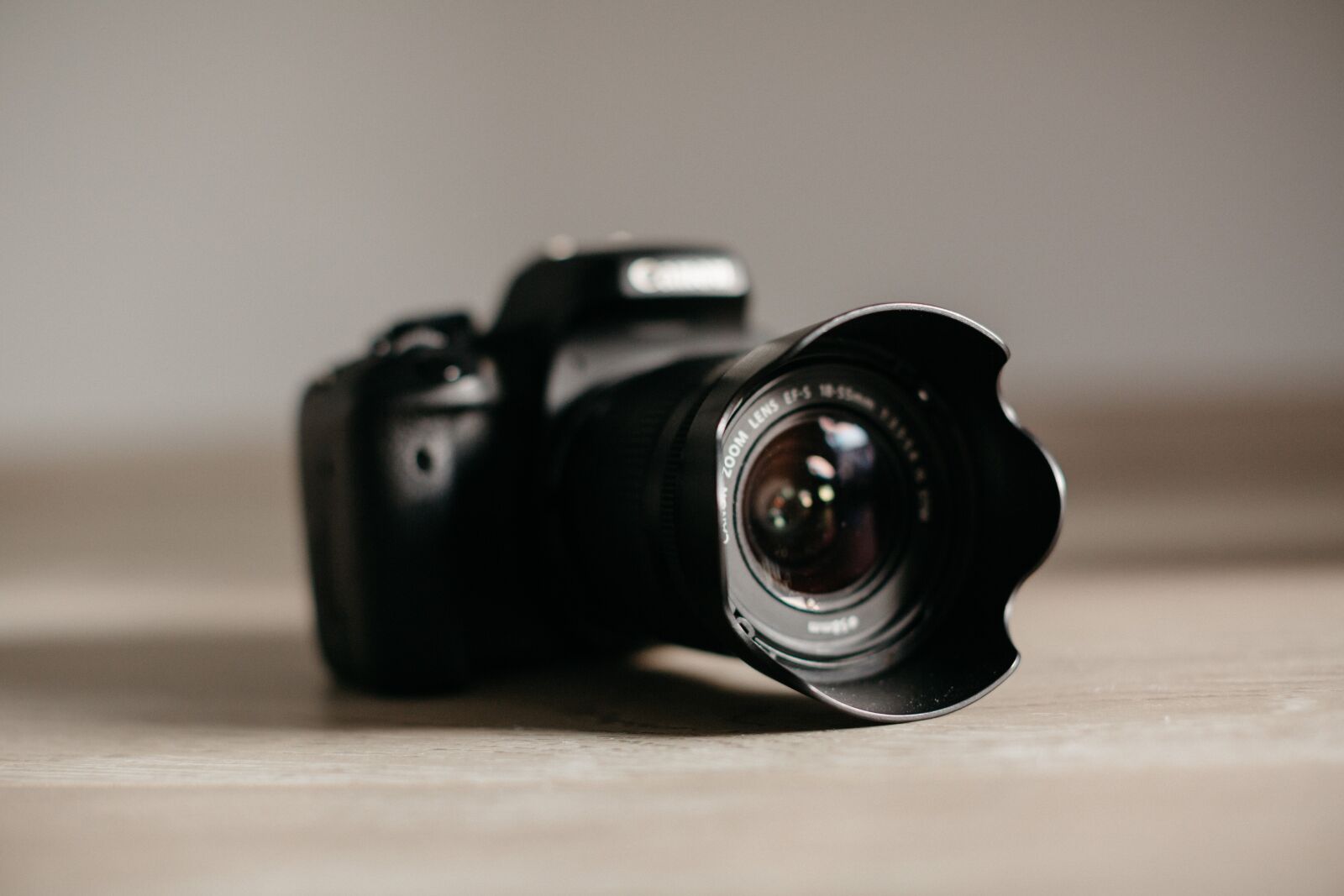 Canon EF 50mm F1.2L USM sample photo. Digital camera, lens, photo photography