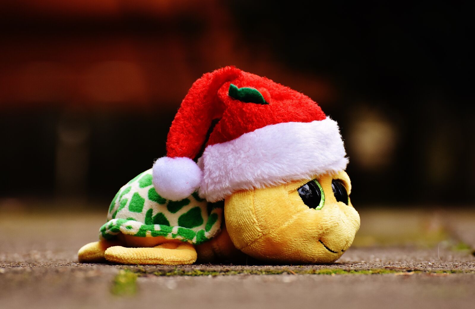 Nikon D7200 sample photo. Christmas, turtle, stuffed animal photography