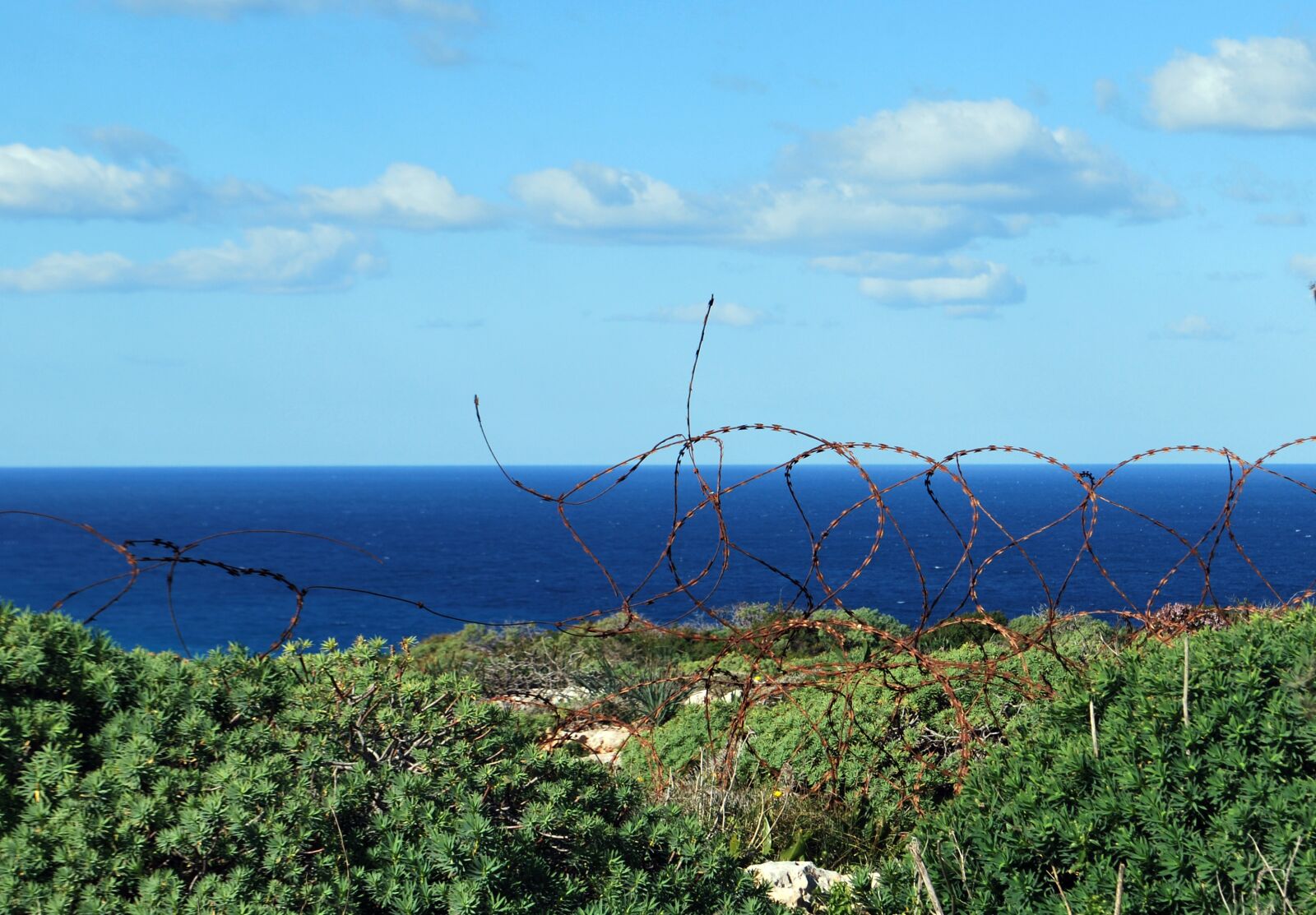 Nikon D60 sample photo. Wire, nature, old photography
