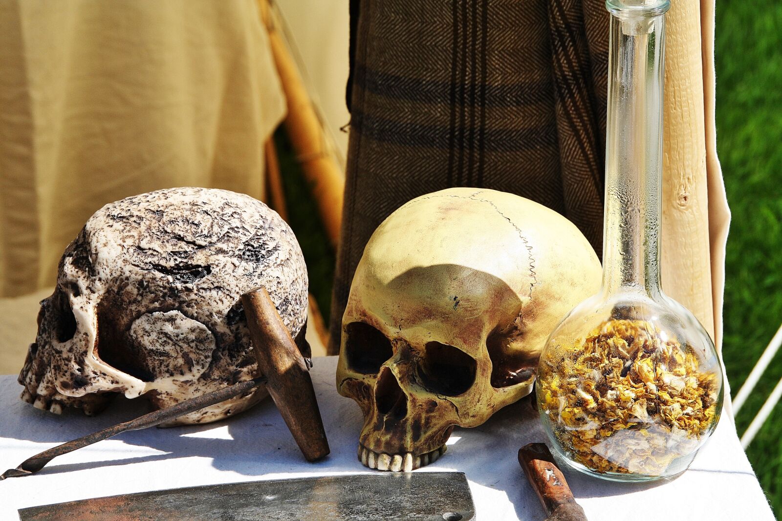 Canon EOS 1000D (EOS Digital Rebel XS / EOS Kiss F) sample photo. Middle ages, bone, skull photography