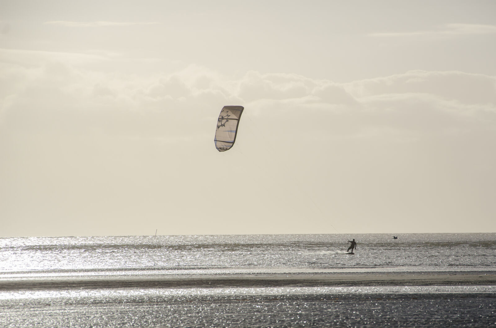 Nikon D7000 sample photo. Action, beach, fun, horizon photography