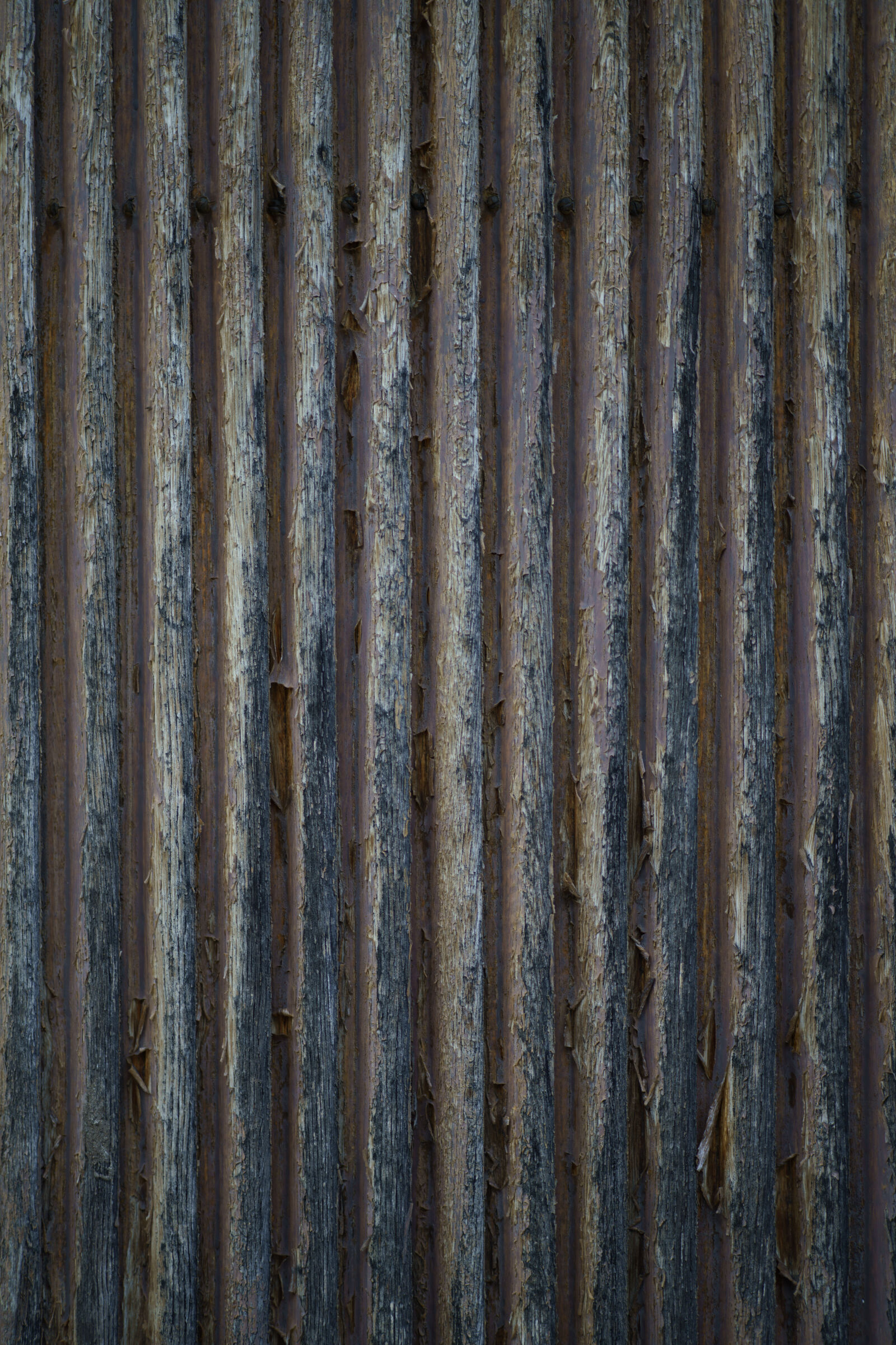 Samyang AF 85mm F1.4 II sample photo. Wornout wooden surface photography
