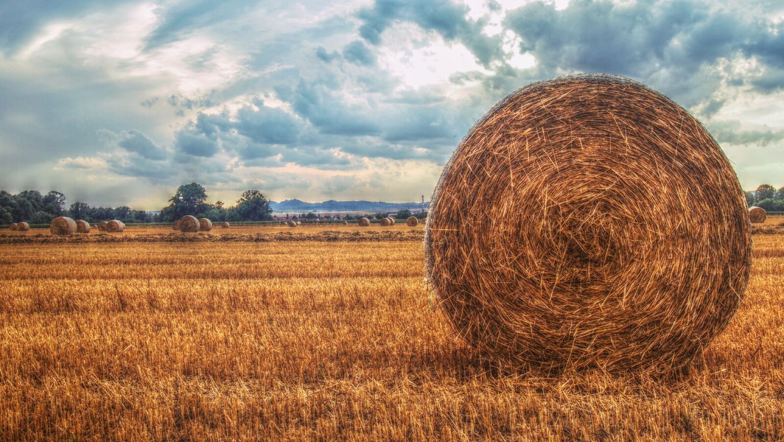 Olympus PEN E-PM1 sample photo. Field, heaven, landscape photography
