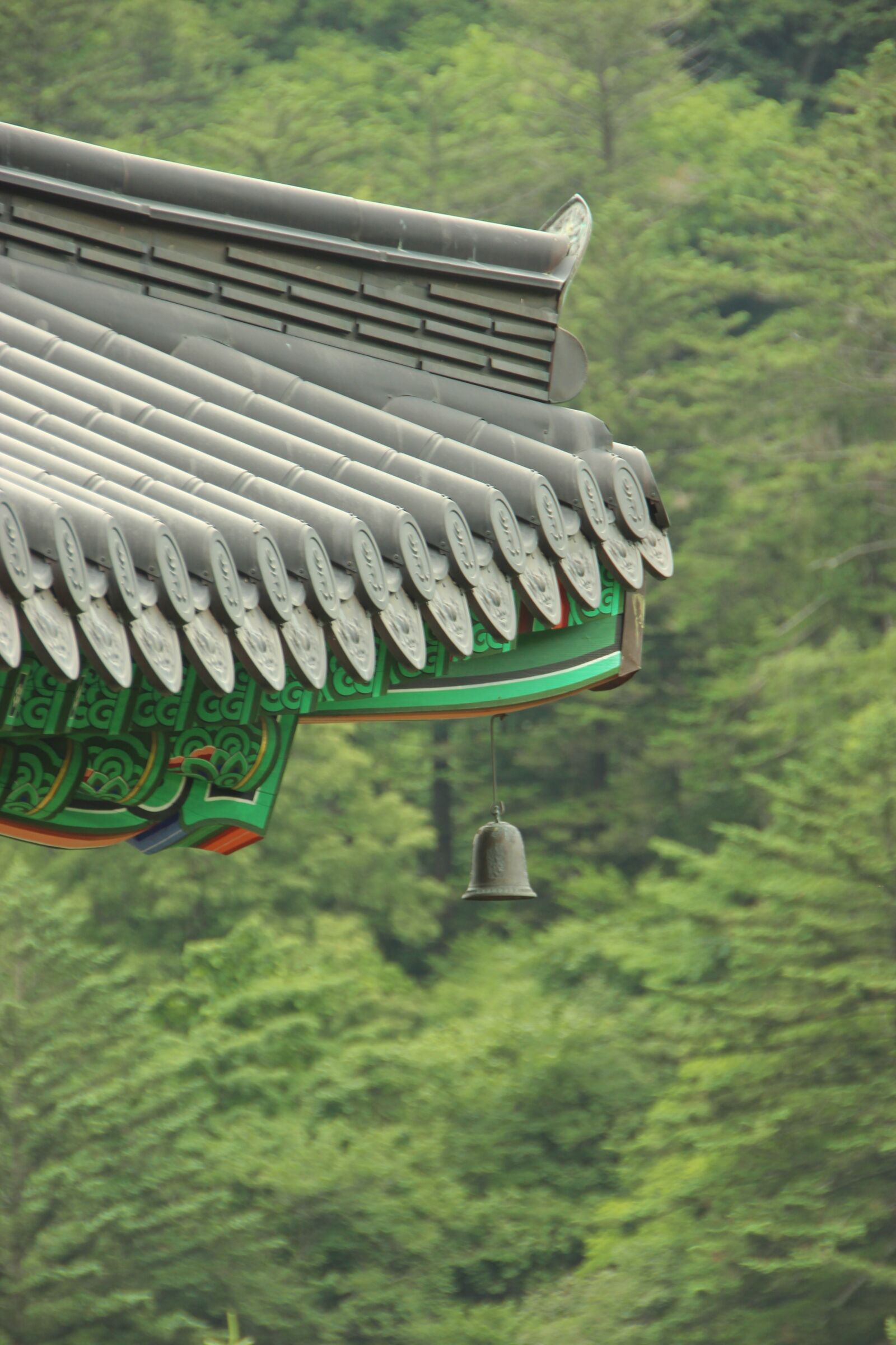 Canon EOS 600D (Rebel EOS T3i / EOS Kiss X5) sample photo. Mono, roof tile, forest photography