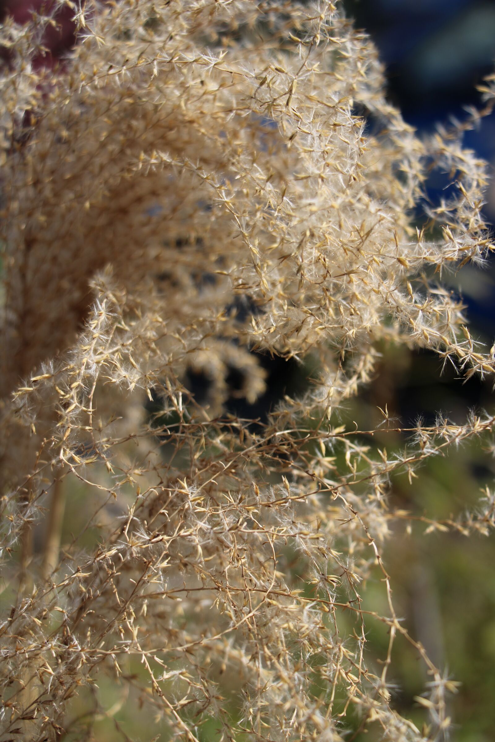 Canon EOS 2000D (EOS Rebel T7 / EOS Kiss X90 / EOS 1500D) sample photo. Light, nature photography
