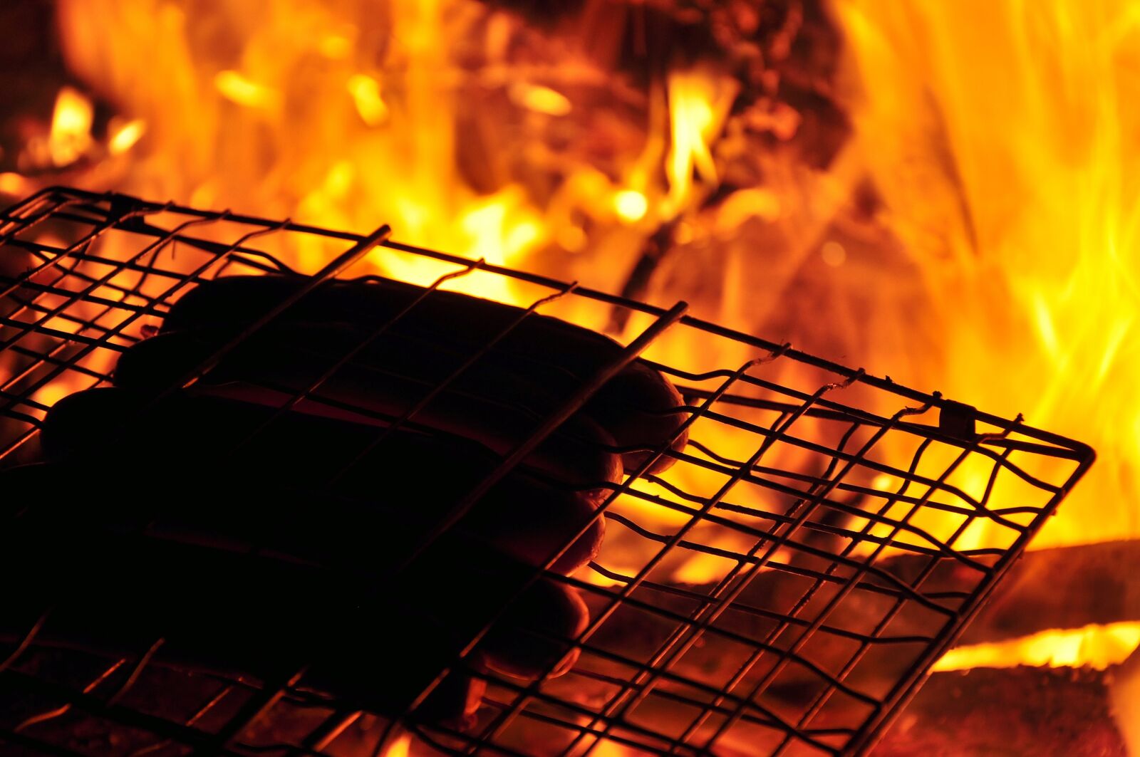 Nikon D90 sample photo. Barbecue, sausages, grill photography