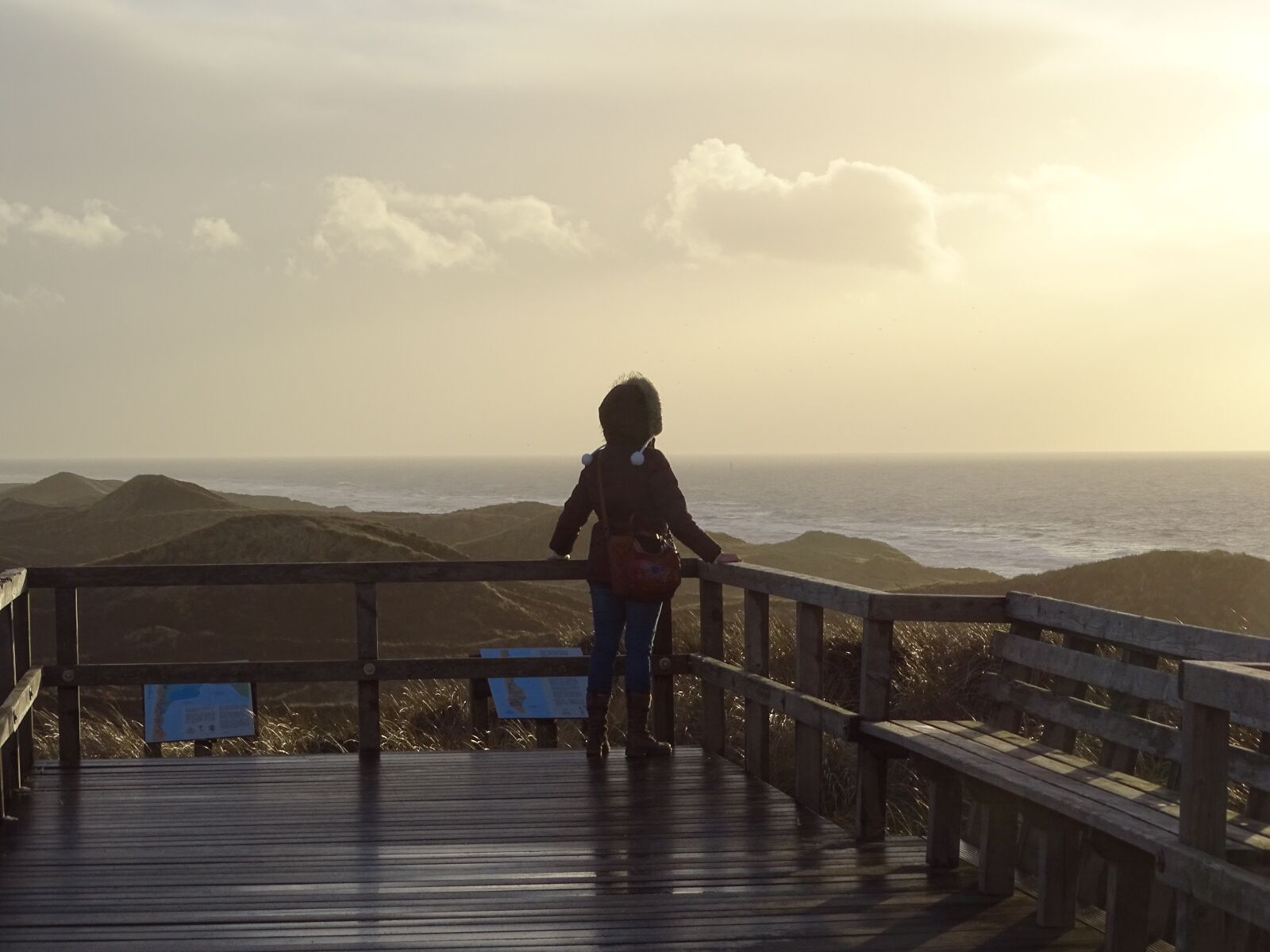 Sony Cyber-shot DSC-HX400V sample photo. Woman, sunset, alone photography