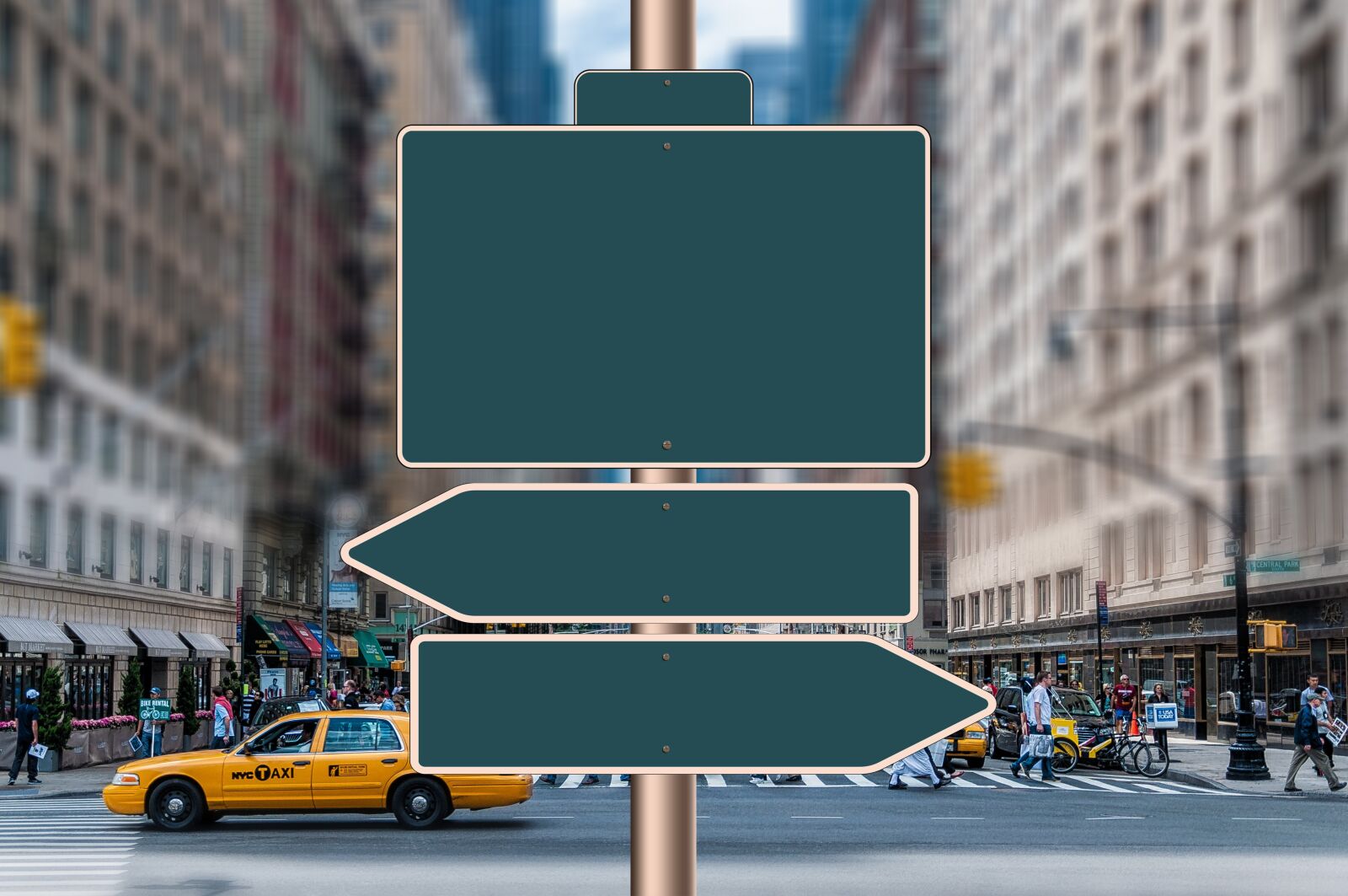 Nikon D90 sample photo. Shield, empty, sign photography