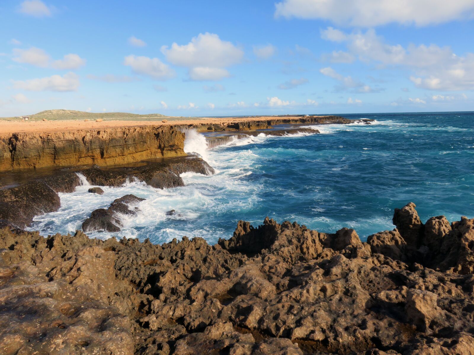 Canon PowerShot SX710 HS sample photo. Australia, coast, nature photography