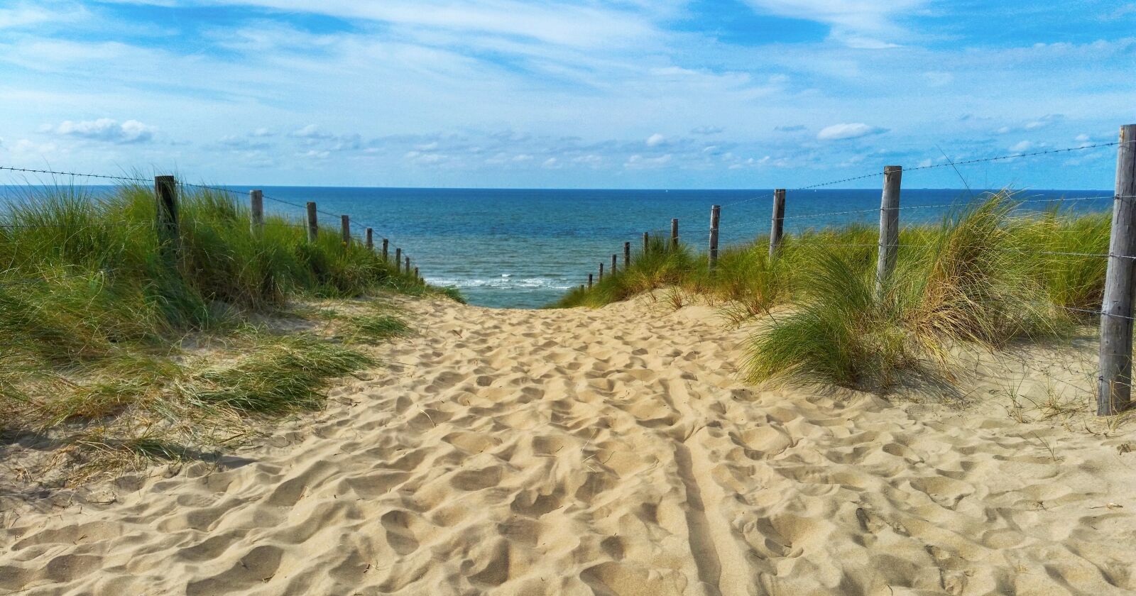 Samsung Galaxy S5 sample photo. Sea, dunes, dune grass photography
