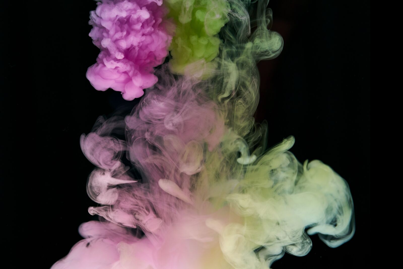 Sigma 85mm F1.4 DG HSM Art sample photo. Ink, water, pink photography