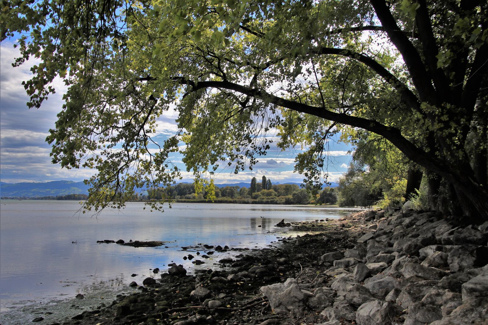 Canon EOS 80D sample photo. Beach, lake, autumn photography