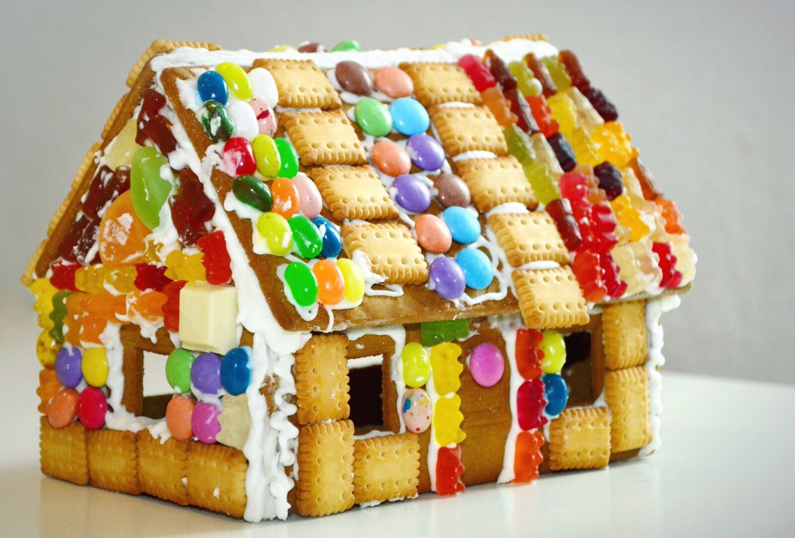 Nikon D5100 sample photo. Cookie, candy, house, decoration photography