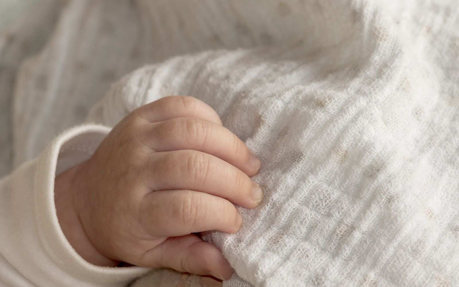 Canon EOS 750D (EOS Rebel T6i / EOS Kiss X8i) sample photo. Baby's hand, small hand photography