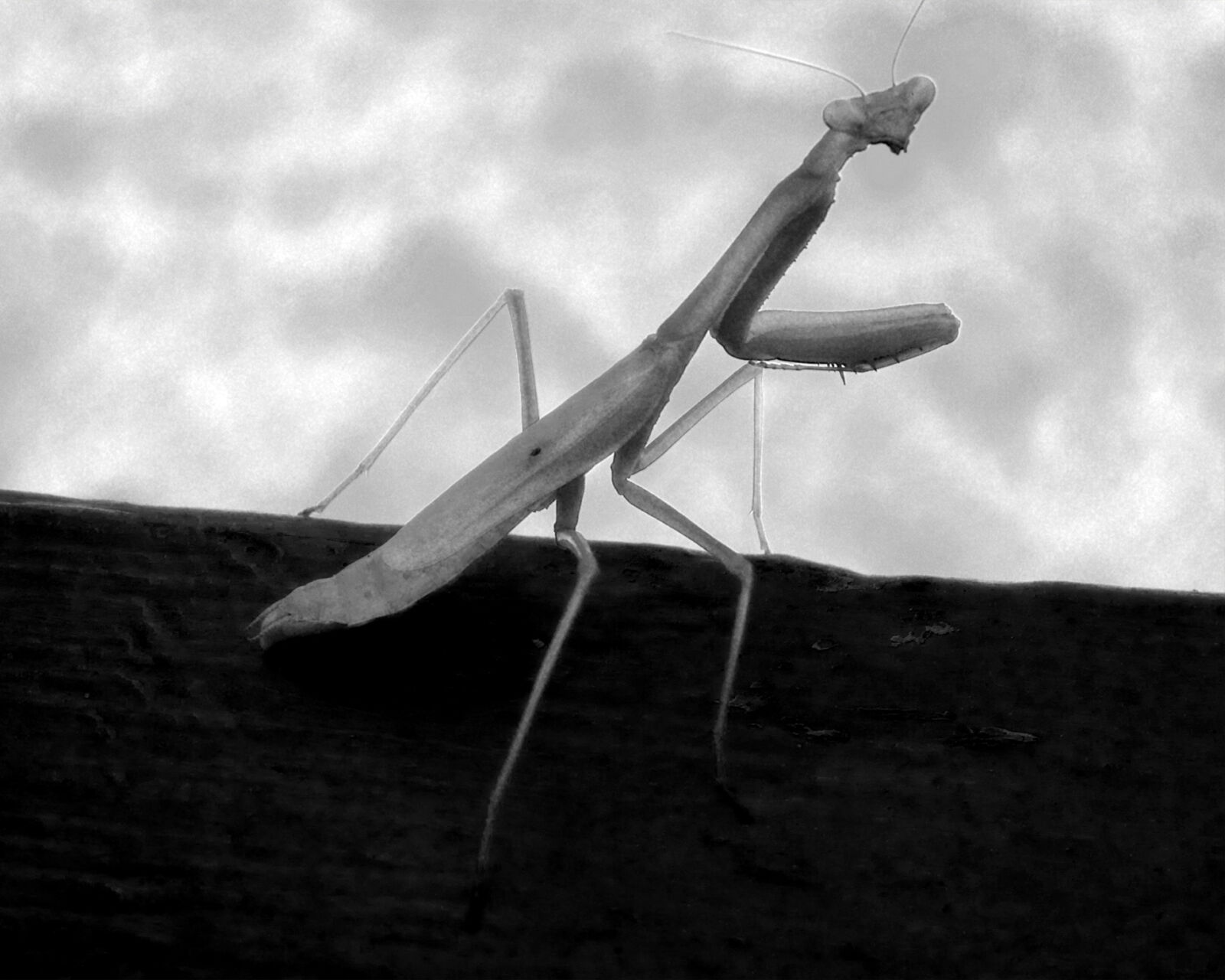 Panasonic Lumix DMC-FZ28 sample photo