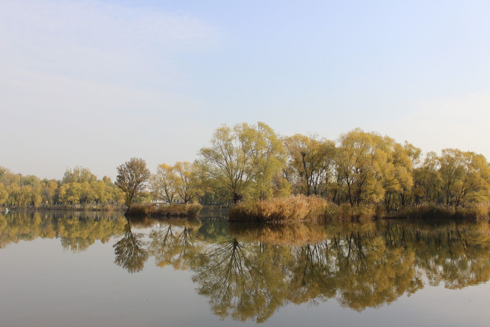Canon EOS 600D (Rebel EOS T3i / EOS Kiss X5) sample photo. Reflection, nature, waters photography