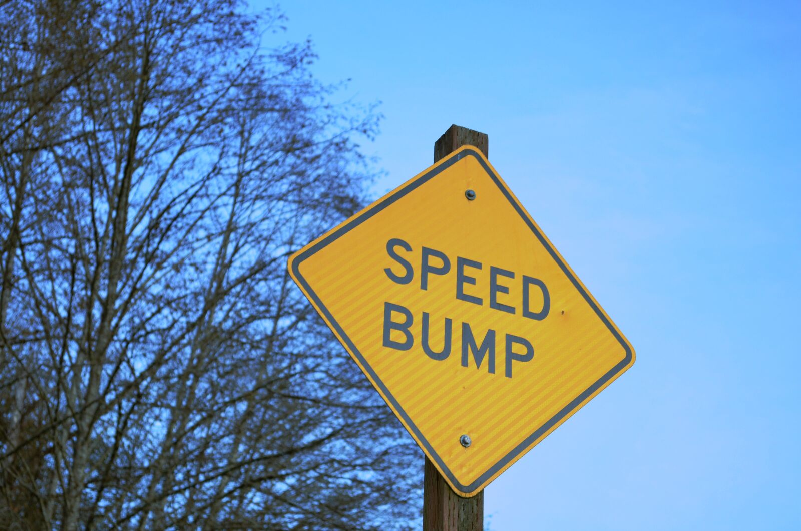 Nikon D5100 sample photo. Sign, speed bump, warning photography