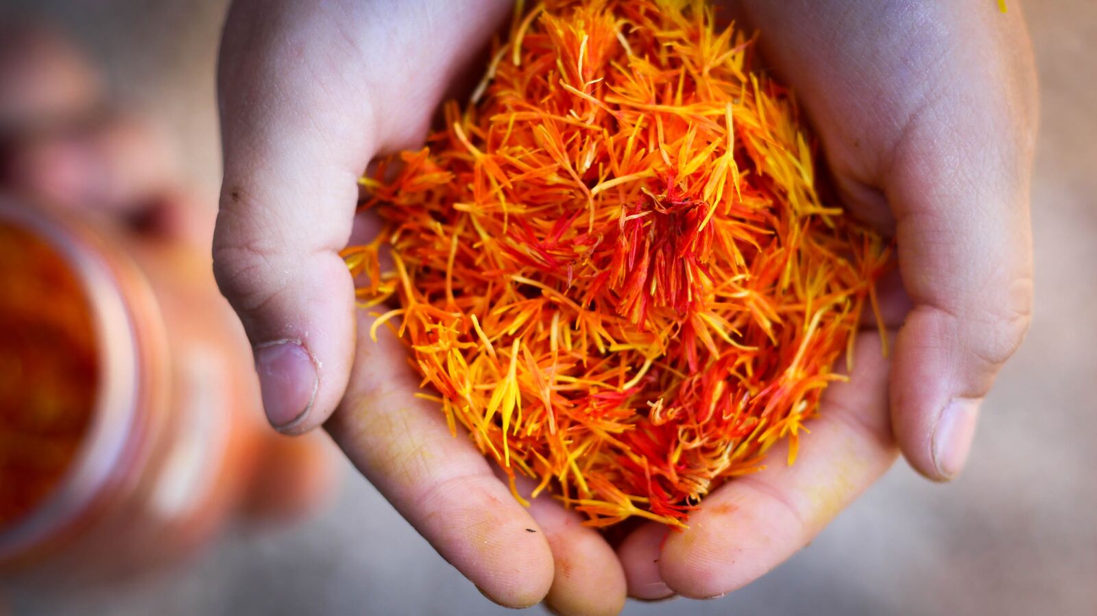 Canon EOS 700D (EOS Rebel T5i / EOS Kiss X7i) + Canon EF 50mm F1.8 STM sample photo. Saffron, hand, natural photography