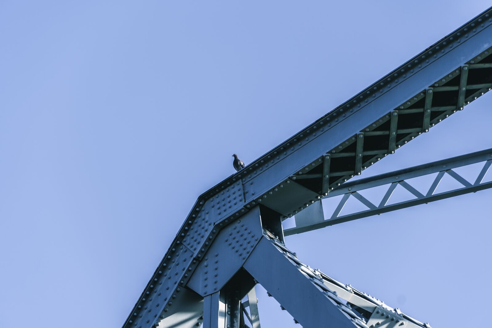Sony a6400 sample photo. Dove, bridge, sky photography