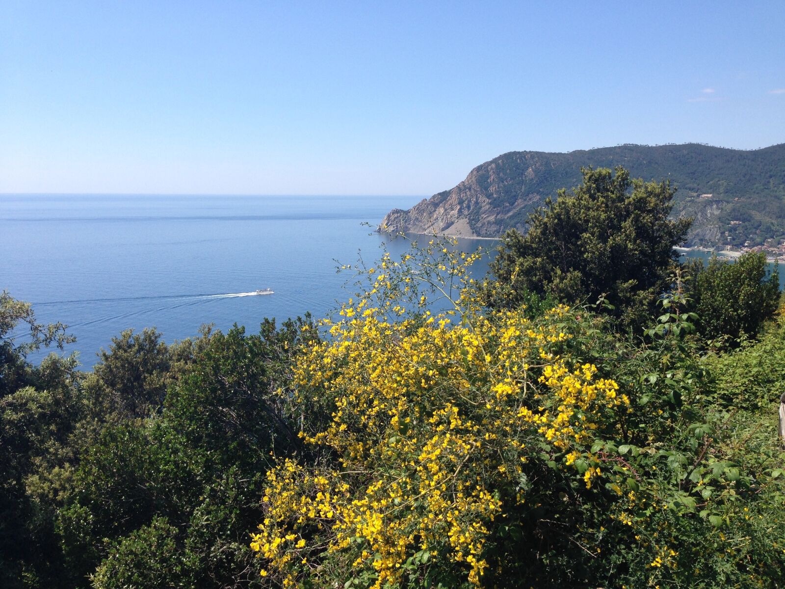 iPhone 5 back camera 4.12mm f/2.4 sample photo. Sea, cinqueterre, liguria photography