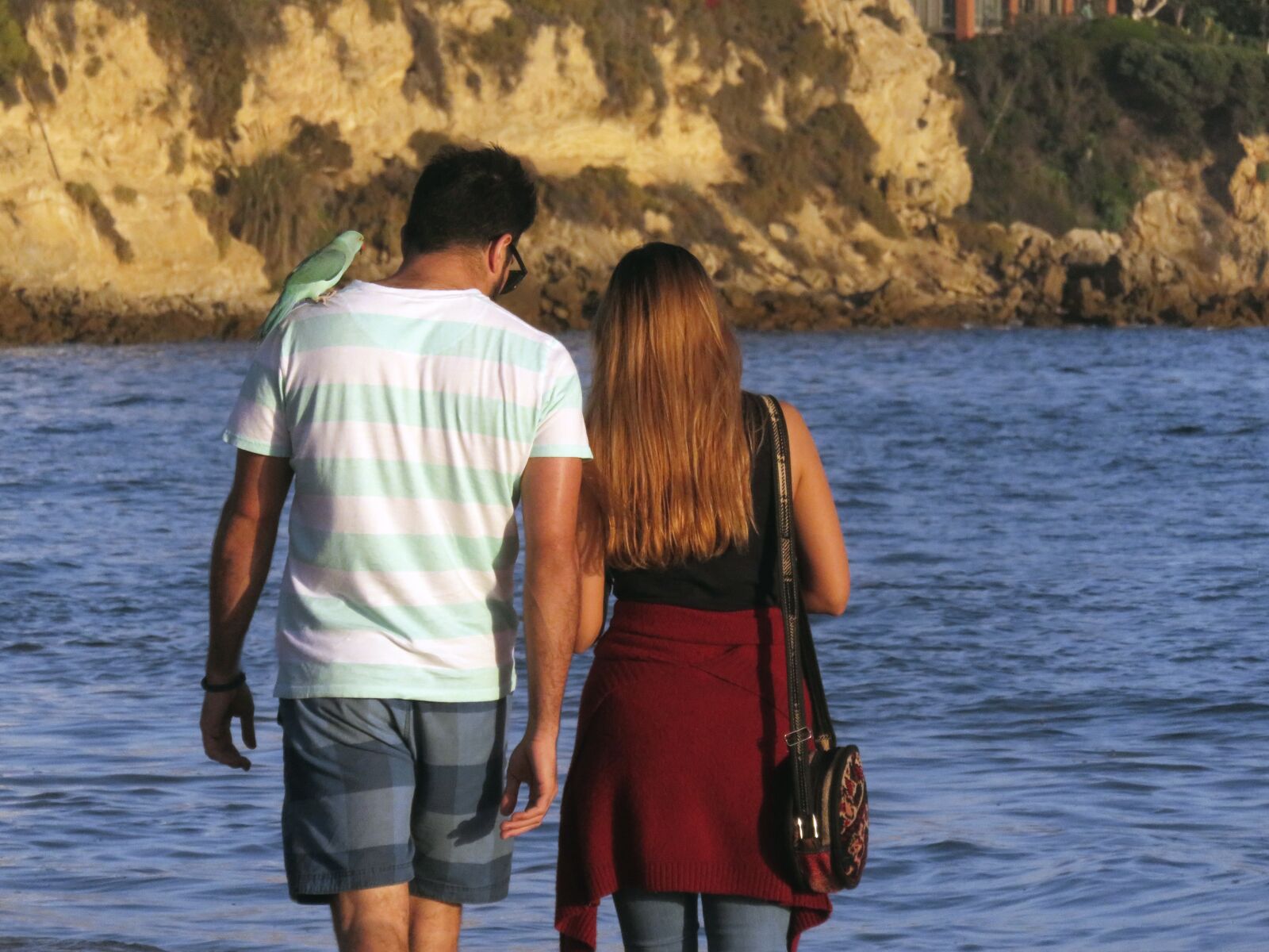 Canon PowerShot SX710 HS sample photo. Couple, walk, beach photography