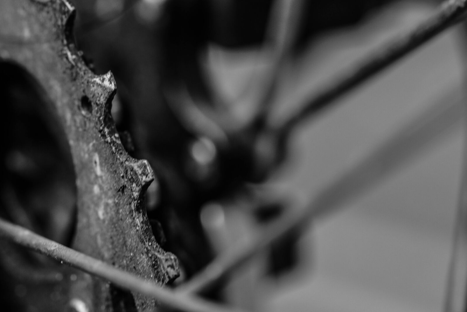 Canon EOS 7D Mark II sample photo. Bike, bicycle, bike part photography