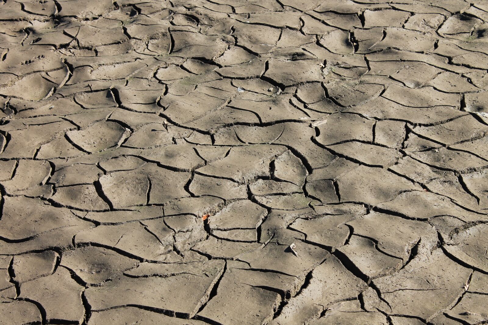 Canon EOS 1100D (EOS Rebel T3 / EOS Kiss X50) sample photo. Earth, drought, dry photography