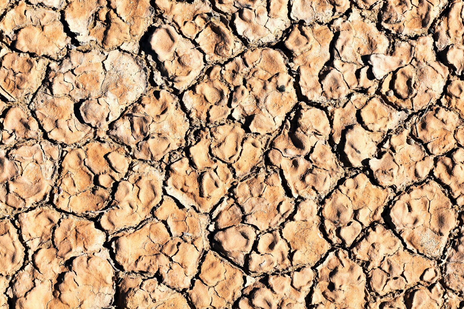 Nikon D5500 sample photo. Soil, clay, cracked photography