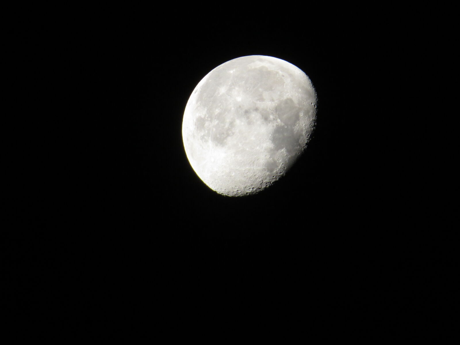 Canon PowerShot SX50 HS sample photo