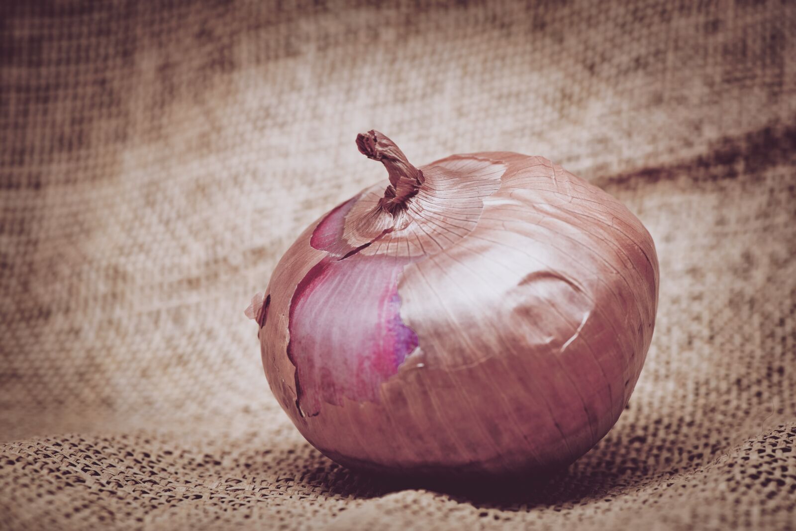Nikon D800 sample photo. Fresh, raw, tone photography