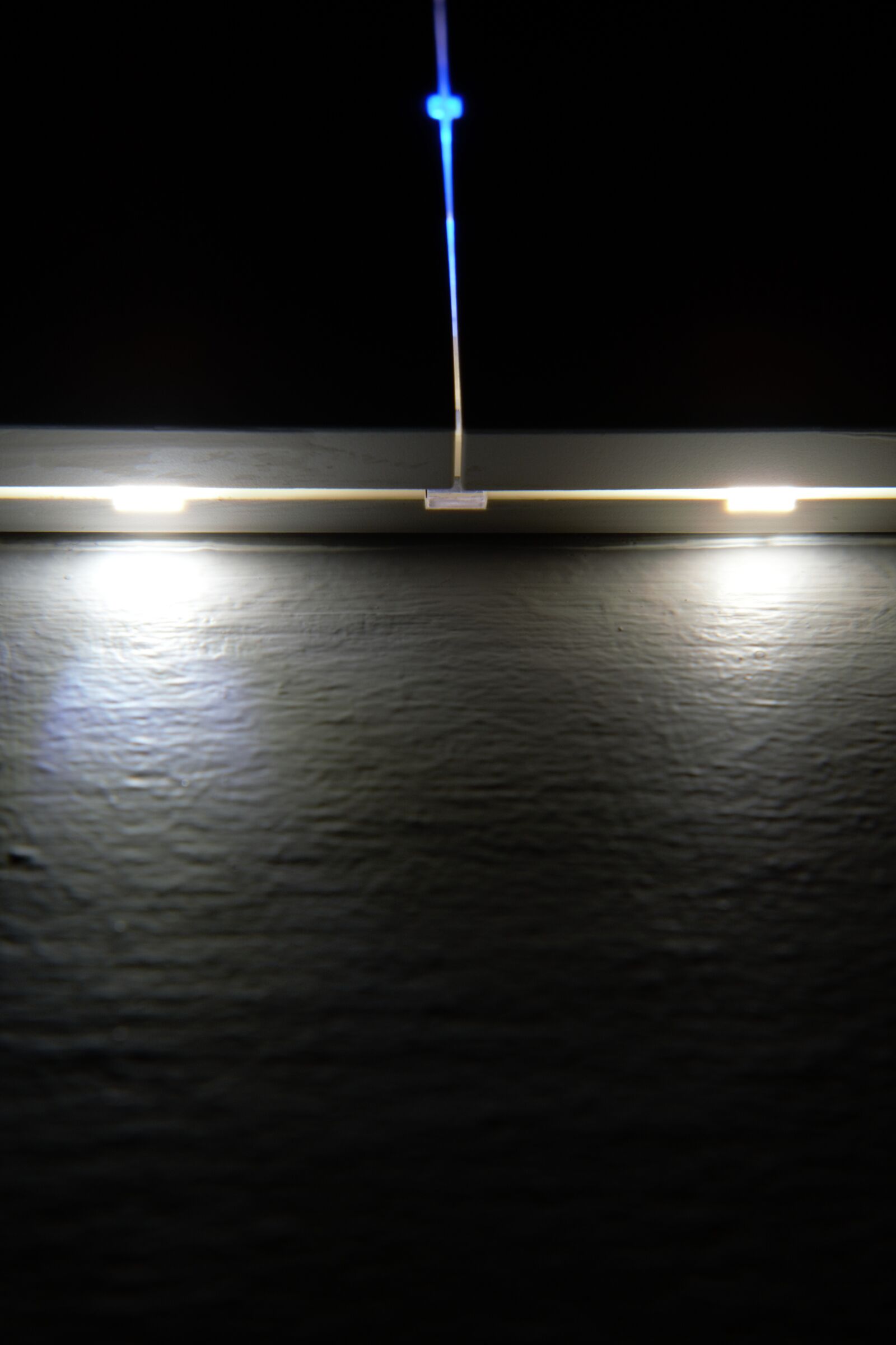 Nikon D7100 sample photo. Macro, micro, reflection wall photography