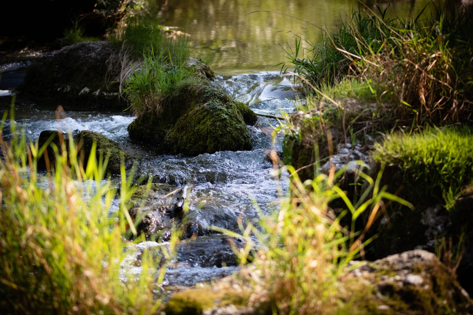 Canon EOS 750D (EOS Rebel T6i / EOS Kiss X8i) sample photo. Krems, river, nature photography
